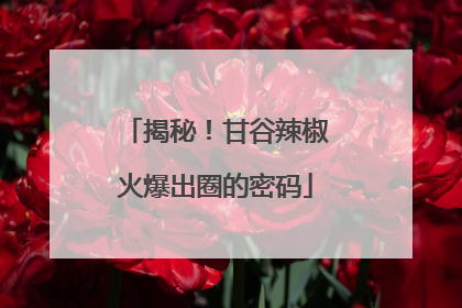 揭秘！甘谷辣椒火爆出圈的密码